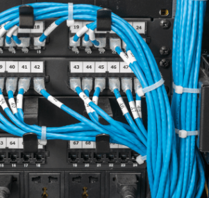 wire-management-networking-closer-up-1.png